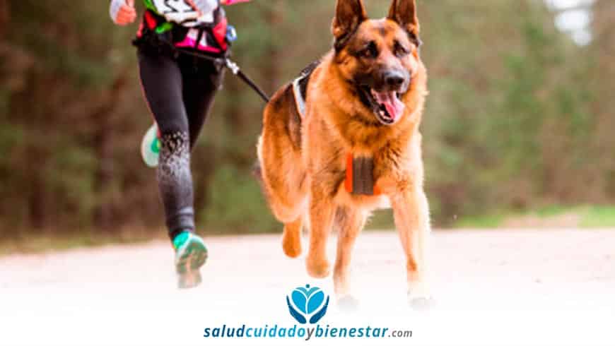 Correr con perros o canicross - beneficios para la salud y consejos