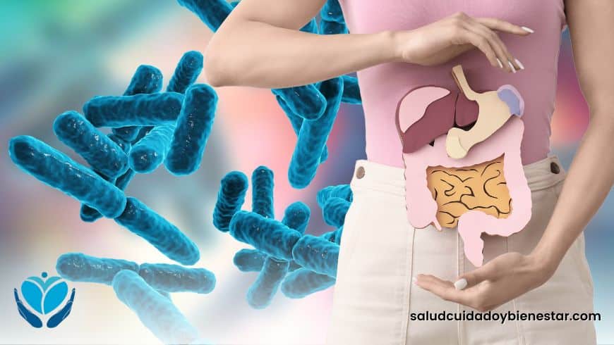 Cómo proteger tu estómago con alimentos y probióticos naturales